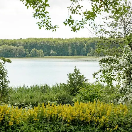 In Fisher's House In Forest By